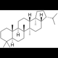 526 Proteins Related to Triterpene Biosynthesis