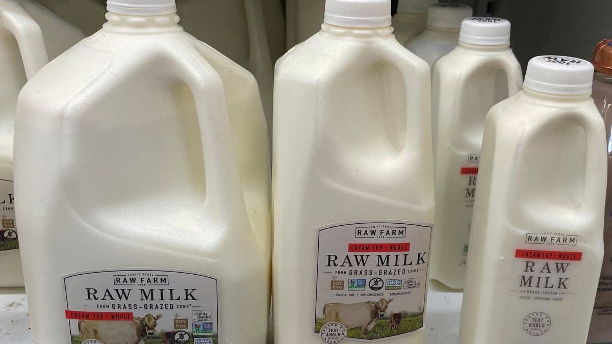 Can drinking raw milk cause bird flu? US health officials probing a child’s case to find link – Firstpost