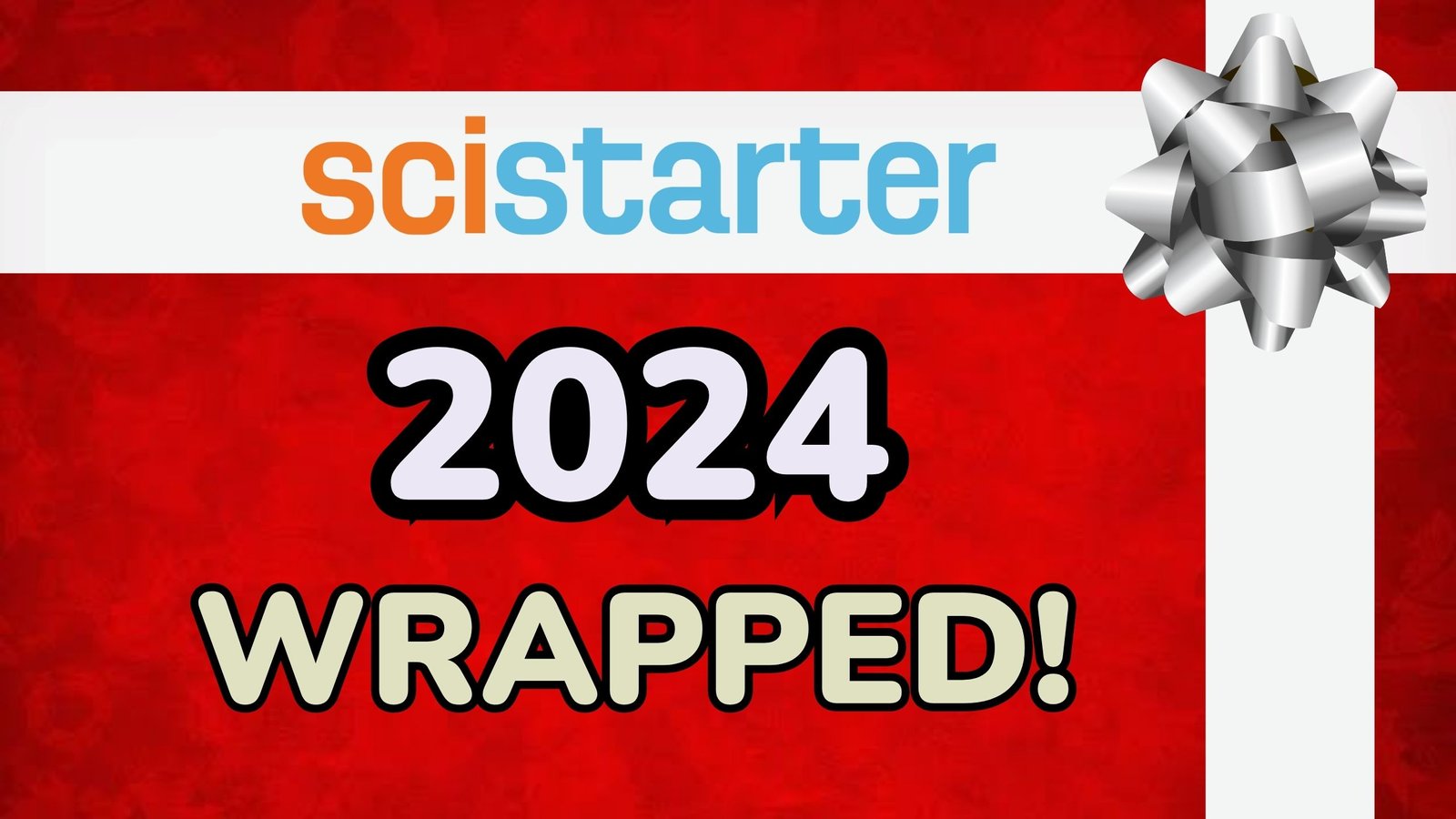 Citizen Science: 2024 Wrapped! | Discover Magazine