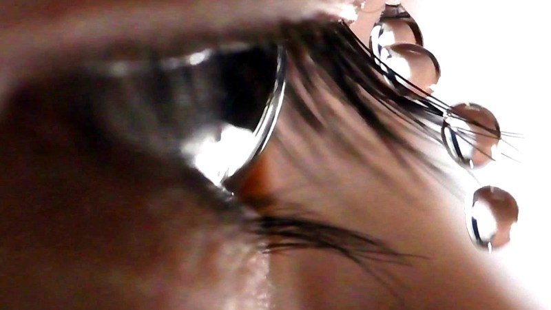 Eyelashes’ special features help fling water from the eyes