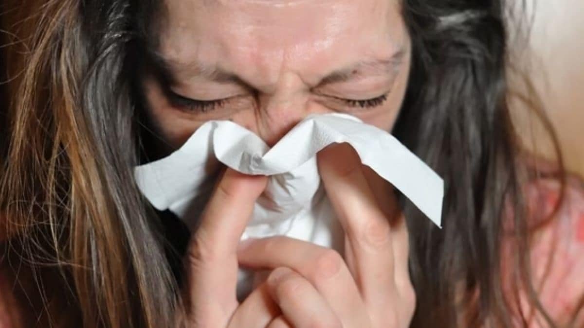 In Graphics | How do we catch a cold in winter? – Firstpost