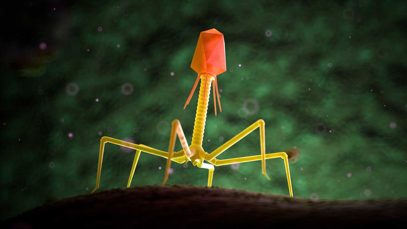 Medicine needed an alternative How the phage whisperer aims to