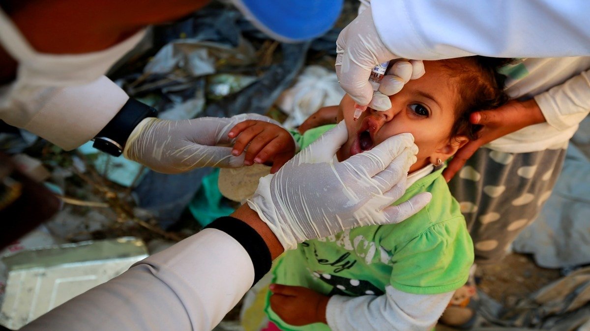 Polio has made a comeback in war torn Gaza Heres what