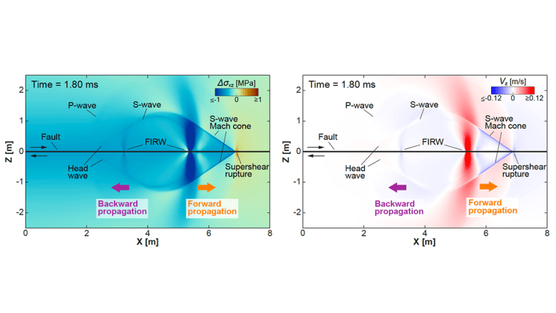 Rewinding the Fault Stress Perturbations Promote Back Propagating Ruptures