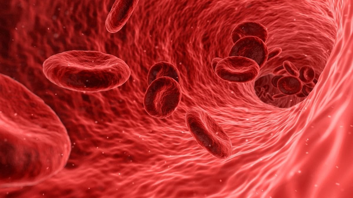 Scientists discover new blood group, solve 50-year-old mystery. What does this mean for patients? – Firstpost