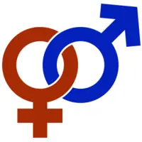 Study Reveals Gender Bias in ChatGPT Translations.webp