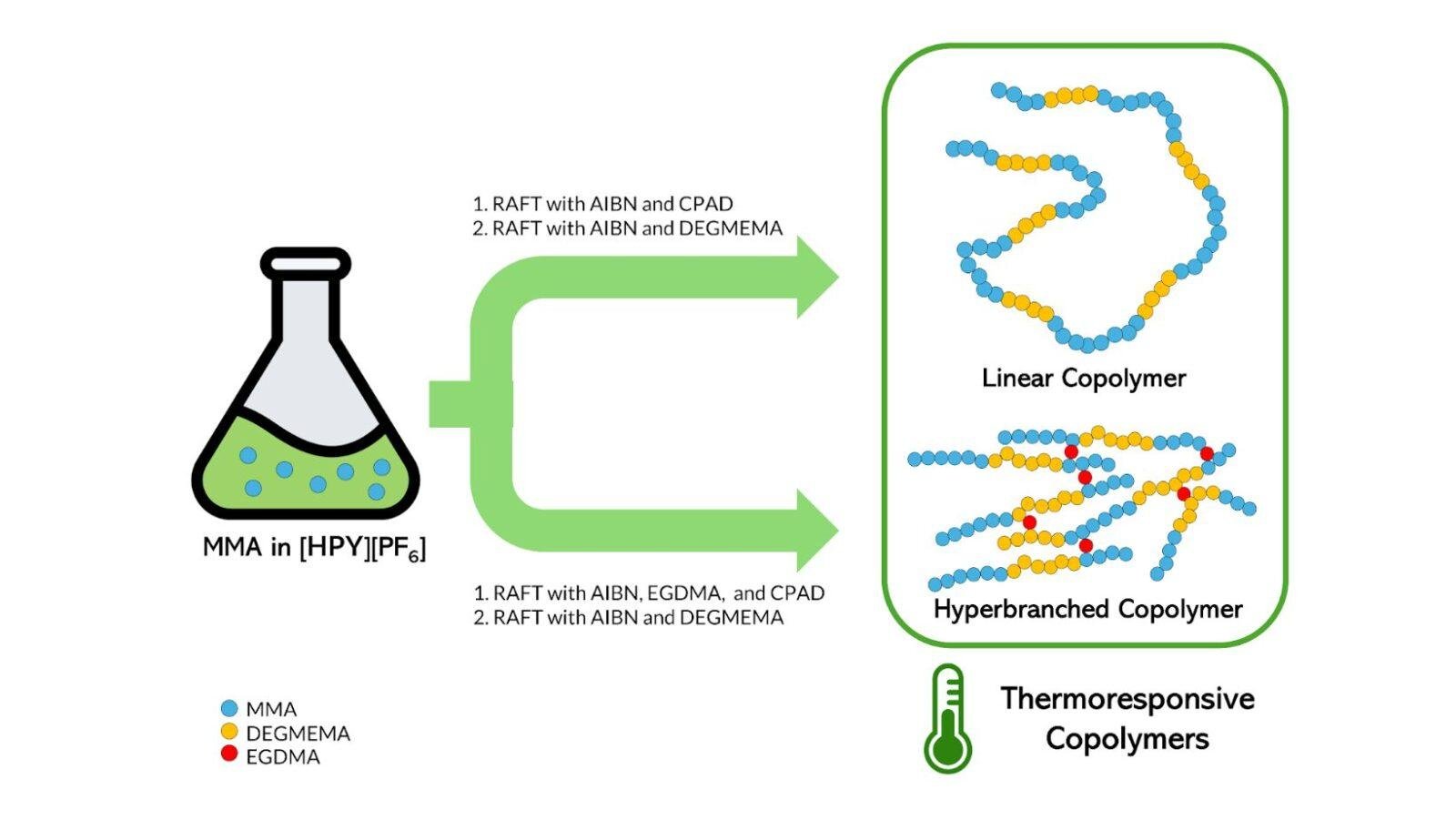 UP scientists create thermoresponsive polymers for potential biomedical use