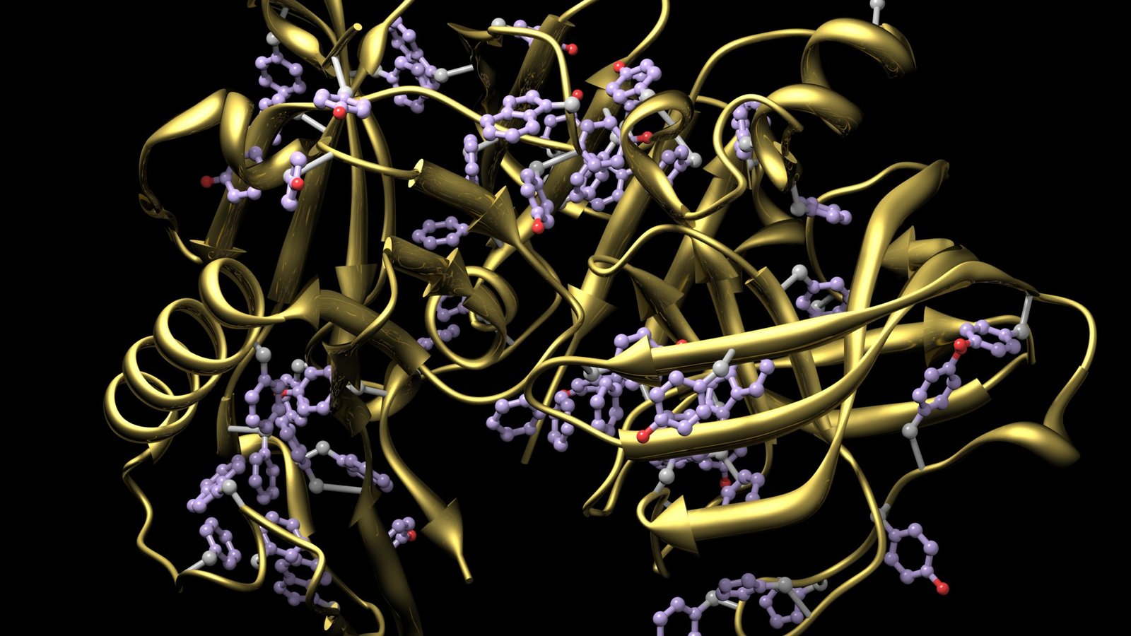 1st of its kind database reveals how DNA mutations destabilize proteins triggering genetic