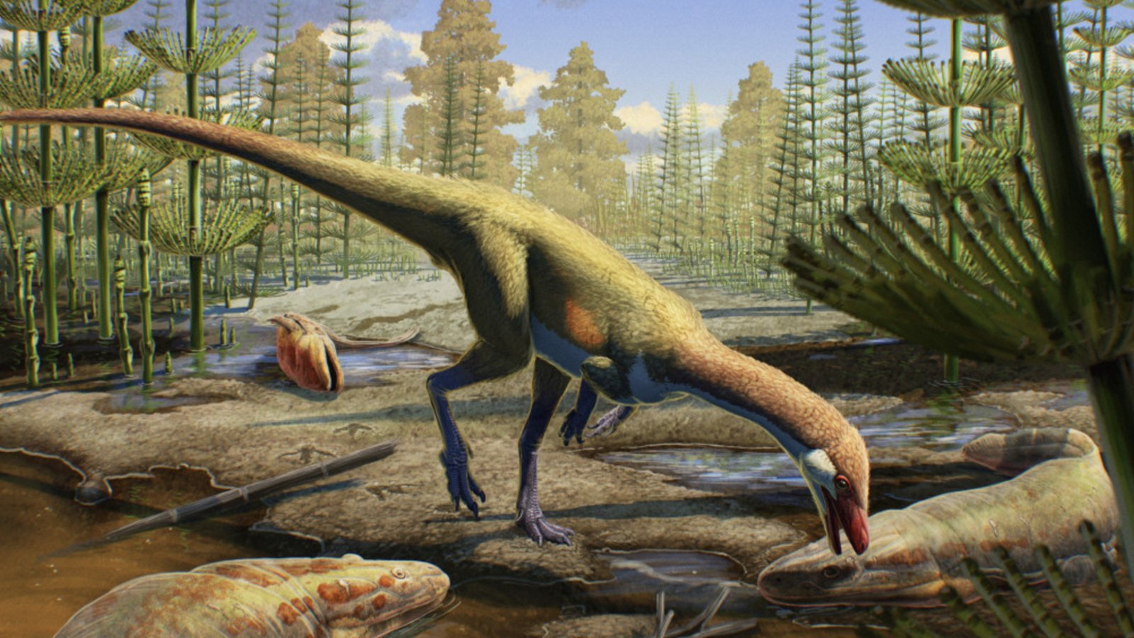 230 million year old dinosaur is oldest ever discovered in North America