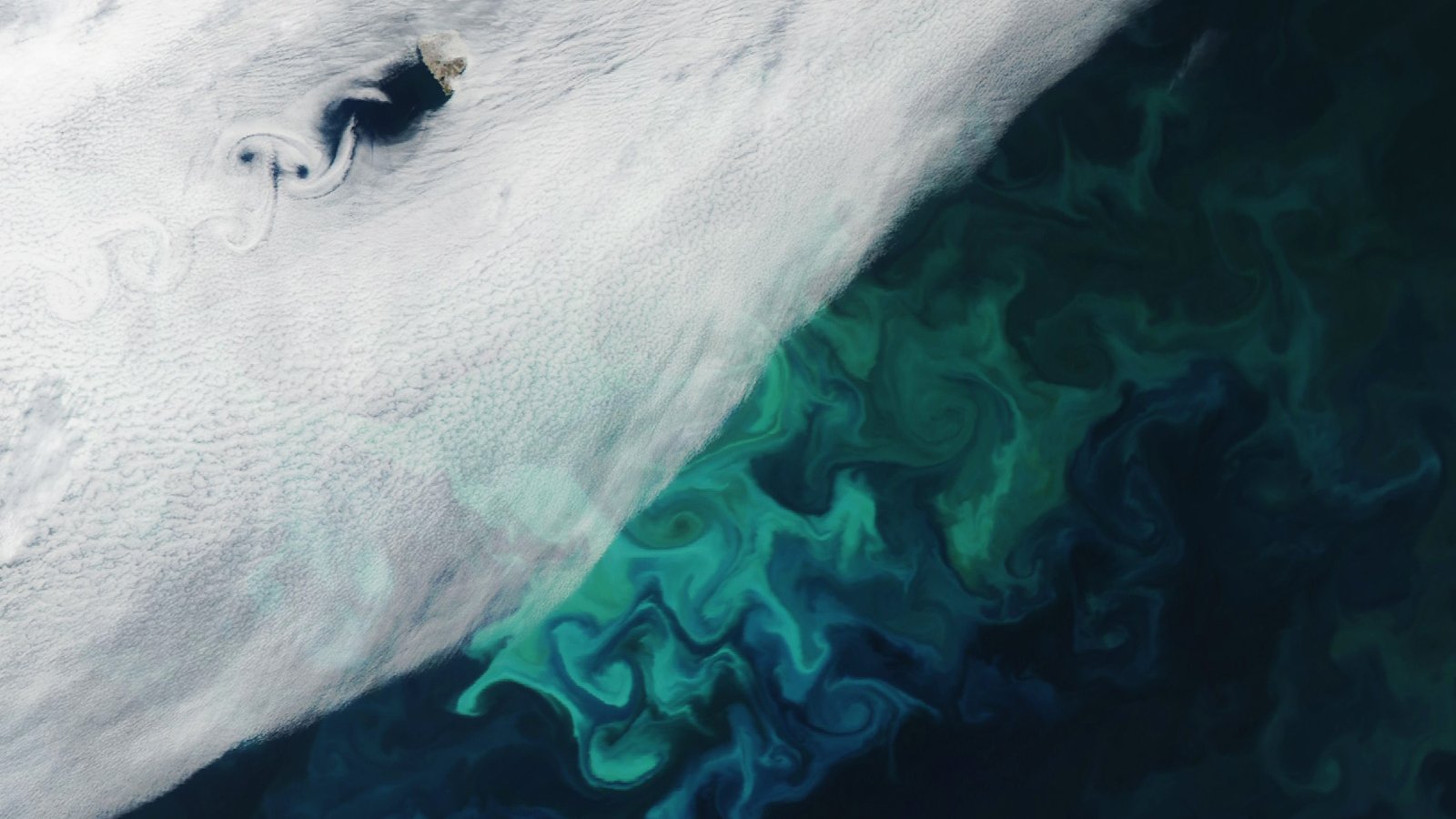 Earth from space: Svalbard’s radioactive ‘Bear Island’ surrounded by rare cloud swirls and a giant algal bloom