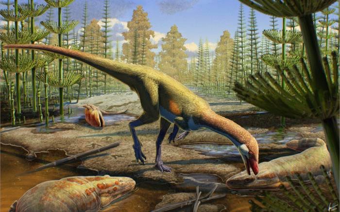 Newly Identified Dinosaur was the Size of a Chicken and