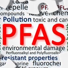 PFAS Exposure and Health Effects