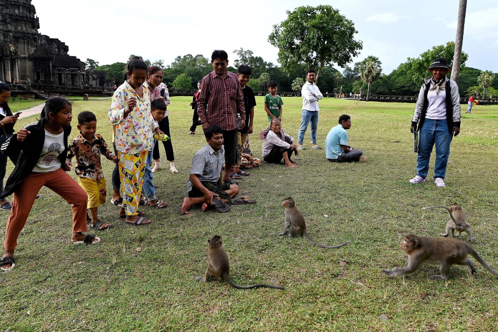 Monkeys egged on by YouTubers attack tourists and wreck temple