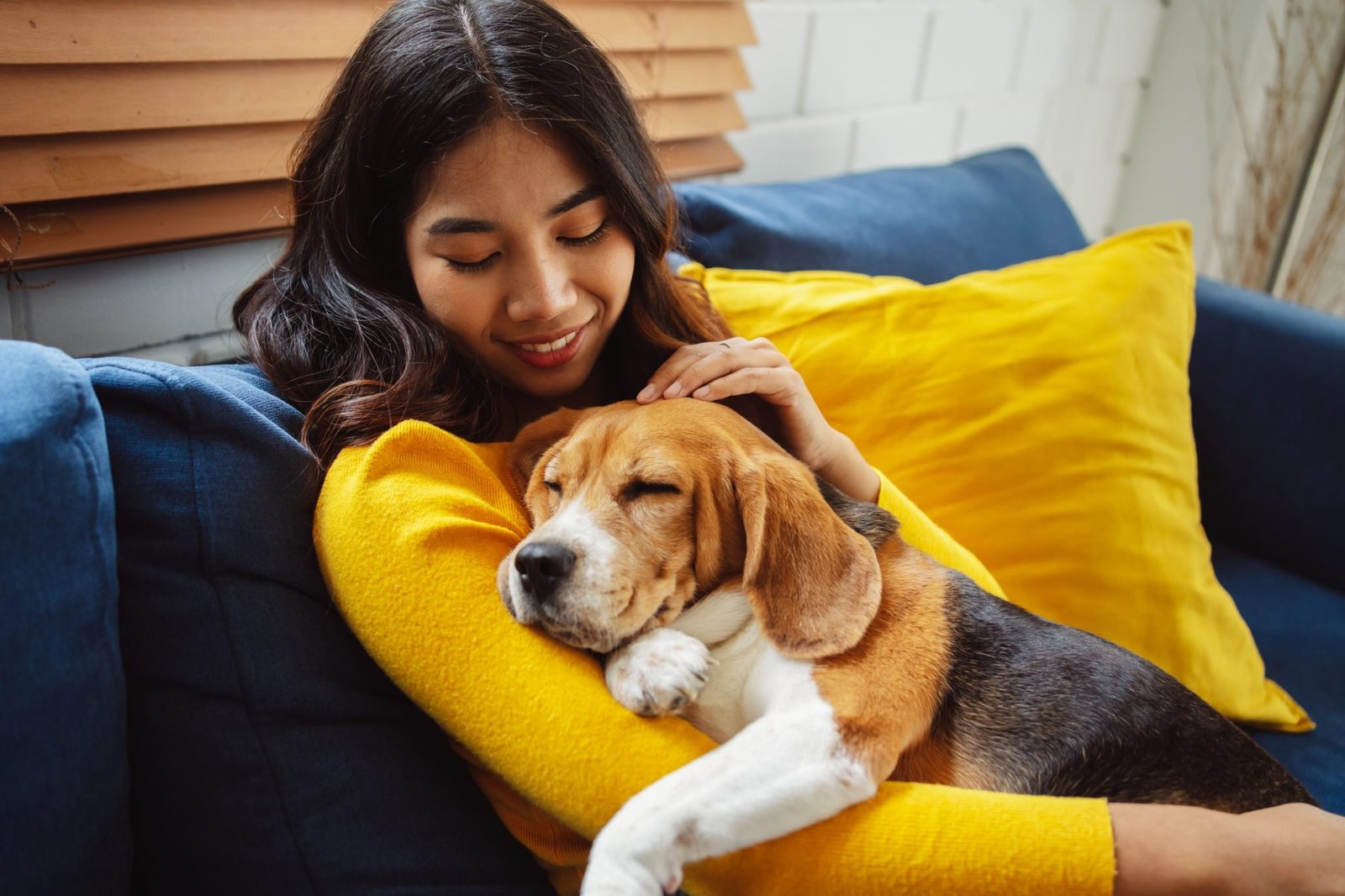 Scientists have found the perfect tactic to grab your dogs