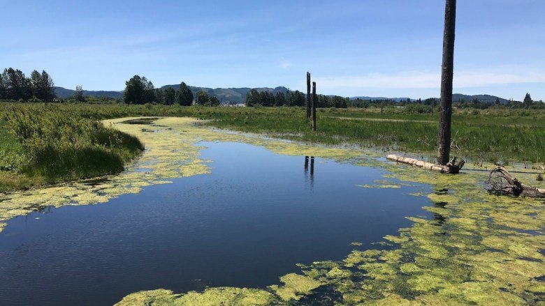 EPA Moves to Rewrite Water Rules Following Sackett Decision