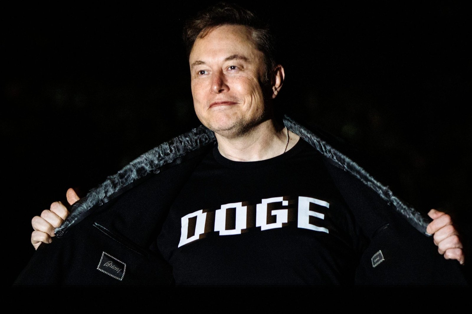 Elon Musk admits he’s juggling DOGE and his other businesses ‘with great difficulty’ as Tesla shares tank 54% since December