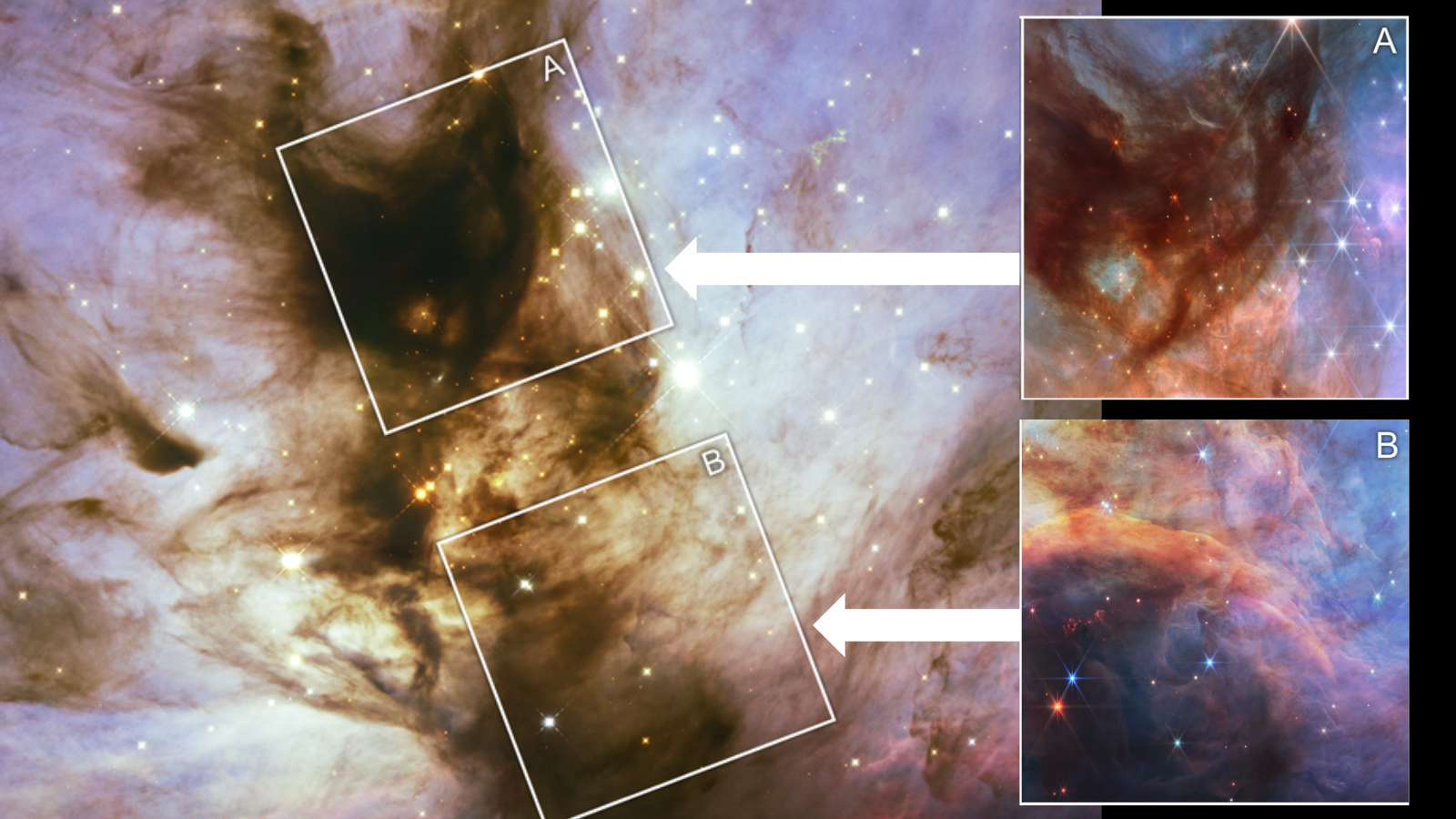 James Webb Space Telescope investigates the origins of ‘failed stars’ in the Flame Nebula