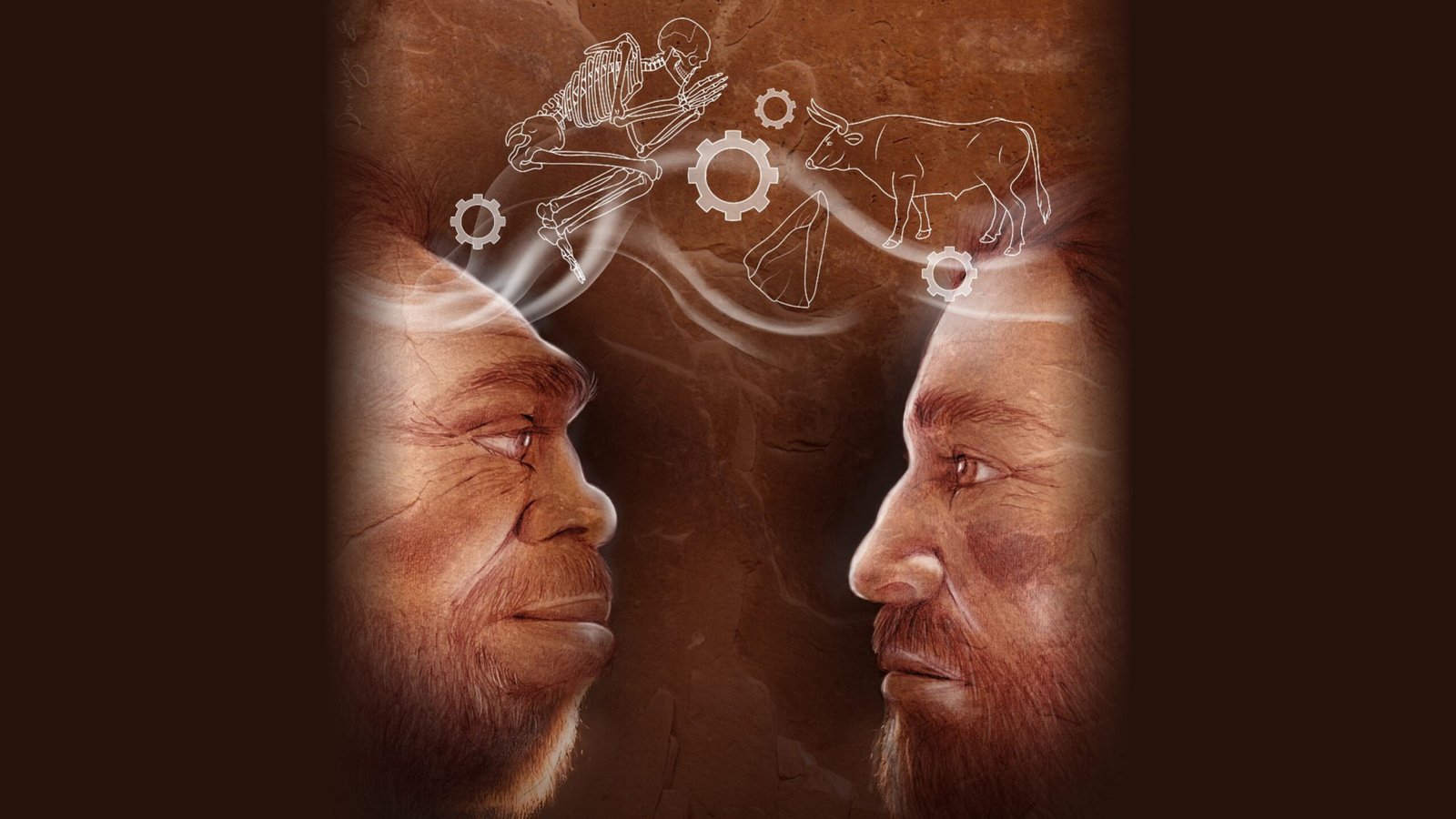 Neanderthals modern humans and a mysterious human lineage mingled in scaled