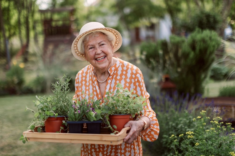 Rosemary and Sage Could Lead to Better Alzheimers Treatment