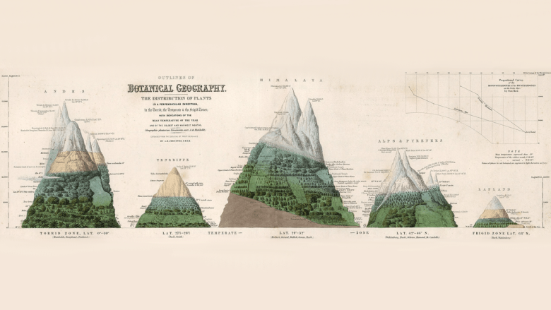 Topography and the Terrestrial Water Cycle